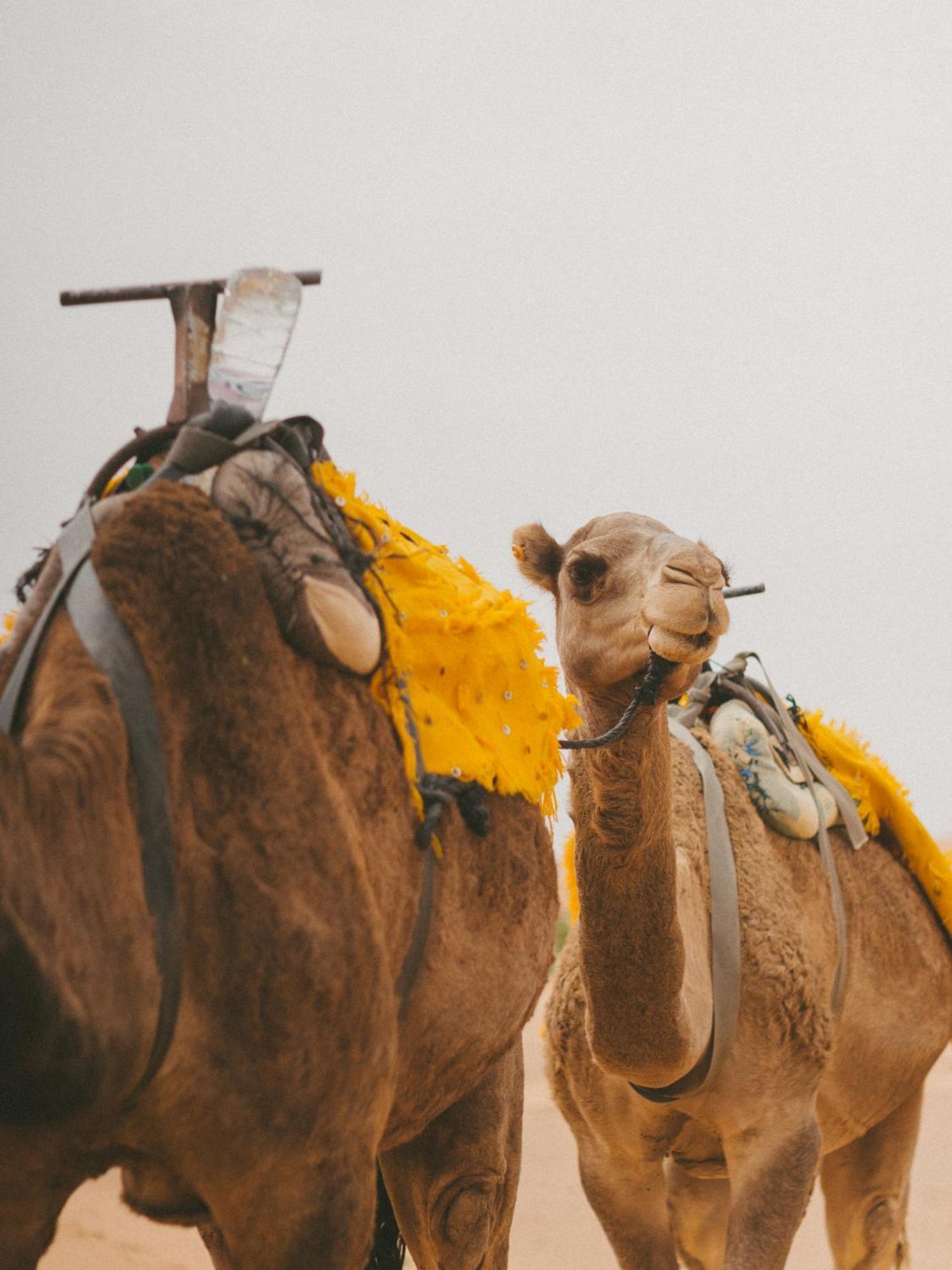 Kam Kam Dunes مرزوكة المظهر الخارجي الصورة