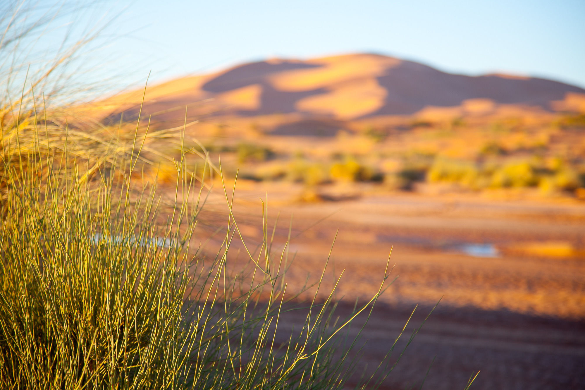 Kam Kam Dunes مرزوكة المظهر الخارجي الصورة