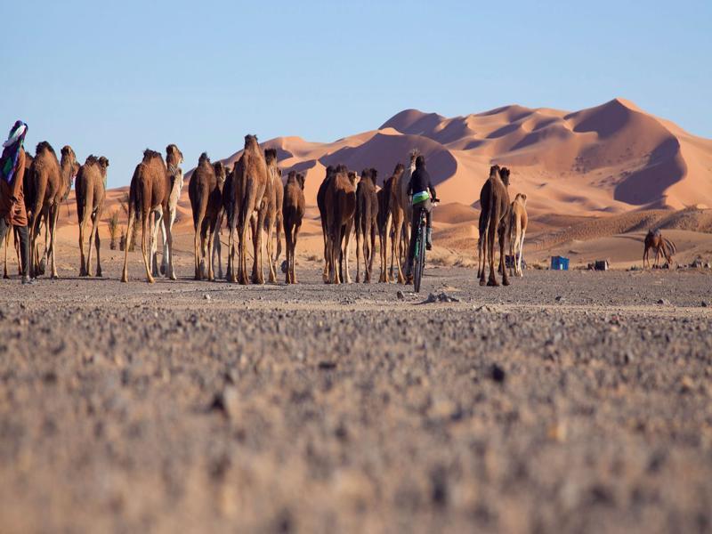 Kam Kam Dunes مرزوكة المظهر الخارجي الصورة